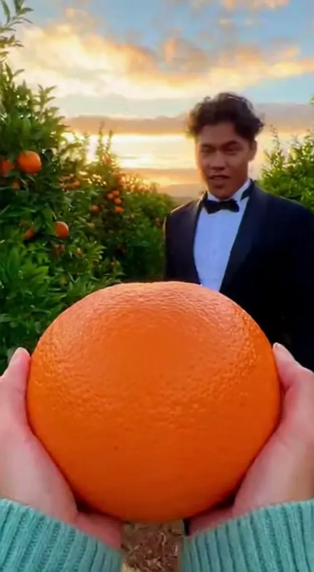 Creative Beverage Product Reveal